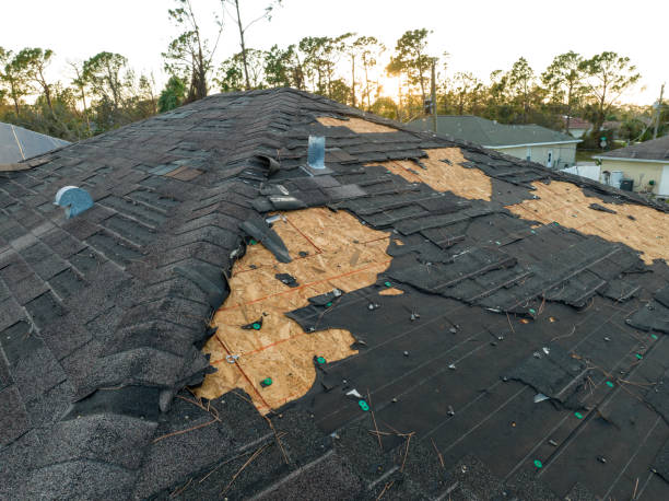 Best Metal Roofing Installation  in Oak Trail Shores, TX